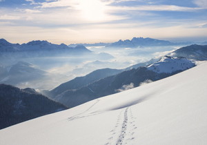 滾刀，蝸輪滾刀，帶柄蝸輪滾刀