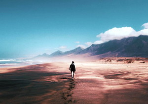 新型薄片插齒刀的類型